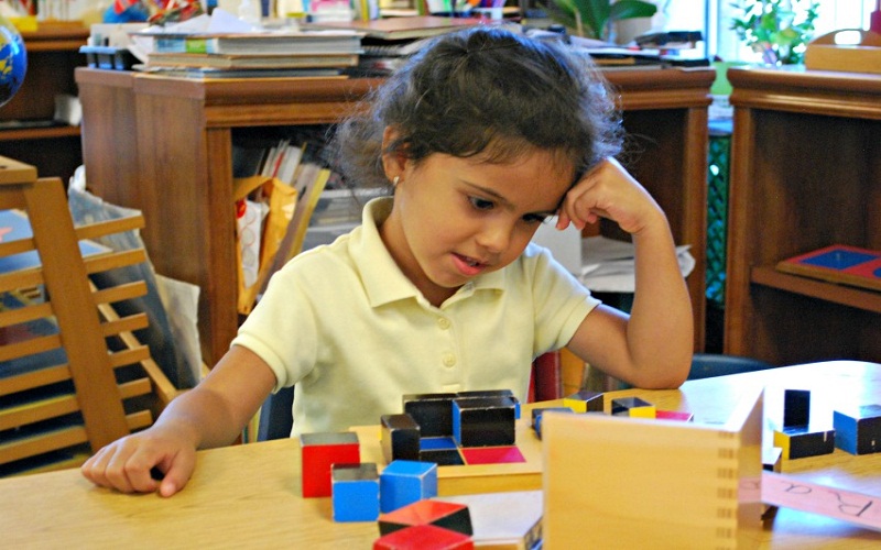 discover montessori curriculum