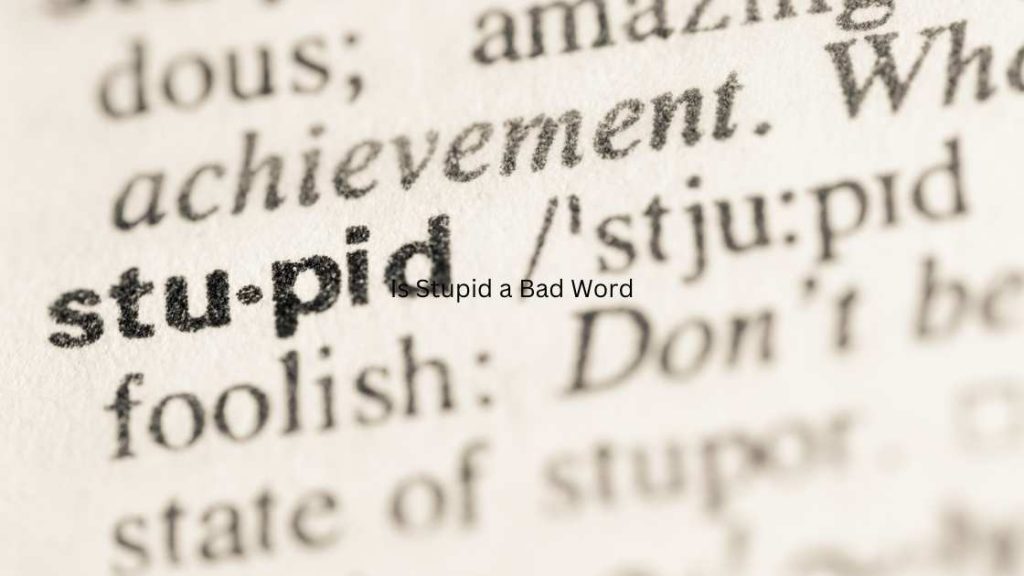 is-stupid-a-bad-word